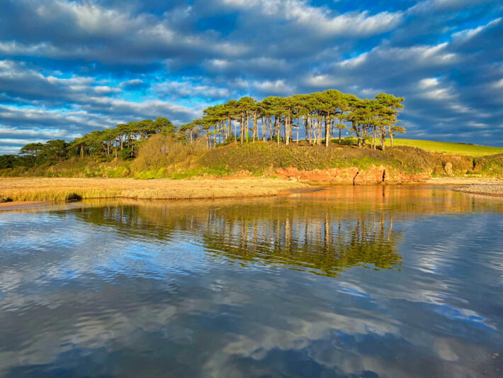 Trees Reflected on the Water at Budleigh Salterton Beach, Devon Coastal trees reflected in calm water at Budleigh Salterton Beach in Devon, England, beneath a dramatic blue and cloudy sky.